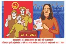 Xác định người trúng cử Đại biểu Quốc hội, Đại biểu HĐND các cấp thế nào?