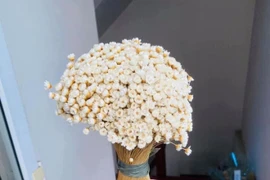 Tuyết nhiệt đới bền 10 năm là loài hoa gì mà được chị em “săn lùng” mấy tuần nay?