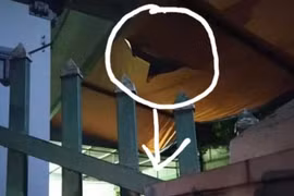 Xót xa bé trai 4 tuổi rơi từ tầng 2 xuống đất tử vong