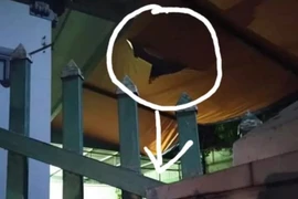 Xót xa bé trai 4 tuổi rơi từ tầng 2 xuống đất tử vong