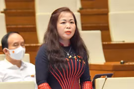 ĐBQH Vũ Thị Lưu Mai: Vốn đầu tư công là từ tiền thuế của nhân dân