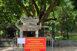 Lập rào chắn, canh gác bia Hạ Mã ở Văn Miếu - Quốc Tử Giám