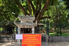 Lập rào chắn, canh gác bia Hạ Mã ở Văn Miếu - Quốc Tử Giám