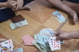 Tết Nguyên đán 2021: Đá gà, đánh bài ăn tiền bị xử lý ra sao?