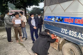 Truy bắt 3 đối tượng vận chuyển 40 bánh heroin trong thùng xe tải