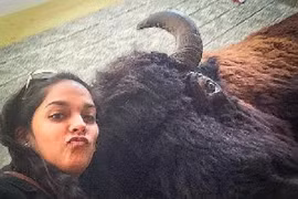 Công viên cấm du khách chụp ảnh selfie gần động vật