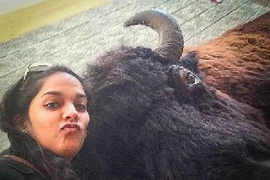 Công viên cấm du khách chụp ảnh selfie gần động vật