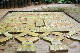 Sự lụi tàn bí ẩn của nền văn minh cổ đại Olmec