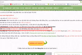 Đất Xanh phủ nhận bán căn hộ Opal Garden đặt cọc giữ chỗ: Có đáng tin?