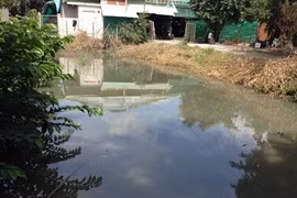 Đoàn kiểm tra hoảng hồn vì ổ lăng quăng trong nhà dân