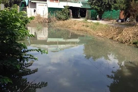 Đoàn kiểm tra hoảng hồn vì ổ lăng quăng trong nhà dân