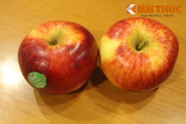 Kinh hoàng táo hữu cơ Organic để 49 ngày không thối