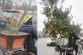 Người Hà Nội hối hả rước xuân về nhà