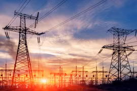 Cổ phiếu VNE bị HoSE đưa vào diện cảnh báo 