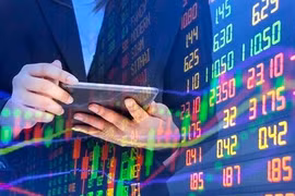 Dự báo lợi nhuận quý 1 của HPG, VPB, DXG, PVD, DBC, MWG... tăng bằng lần