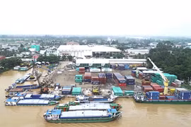 CAG lỗ sau thuế 1,9 tỷ đồng do doanh thu giảm mạnh 55,4%