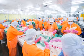 Lợi nhuận của Thủy sản Nam Việt năm 2023 chỉ đạt 10,9% kế hoạch