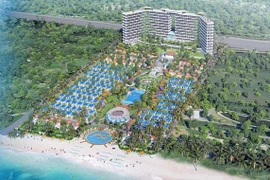 Koji nói gì về việc khắc phục tình trạng cổ phiếu bị cảnh báo? 