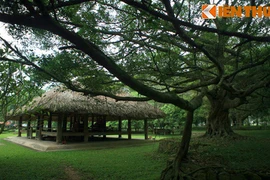 Thăm chiến khu Tân Trào - cái nôi của Cách mạng tháng Tám 