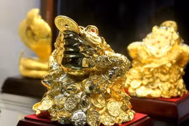 Phong thủy: Cóc vàng vào nhà là báo hiệu điềm gì? 