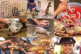 Loạt ảnh cực sốc về thịt chó Việt khiến Tây “rụng rời” 