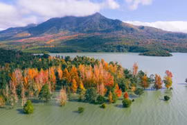 Mê mẩn rừng cây ngũ sắc thay lá tựa trời Âu phía tây Quảng Trị