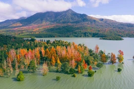 Mê mẩn rừng cây ngũ sắc thay lá tựa trời Âu phía tây Quảng Trị