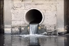 Xả thải vượt quy chuẩn, Công ty Paishing Việt Nam bị xử phạt 294 triệu đồng