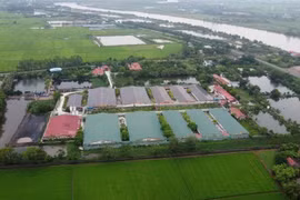 Công ty CP Thương mại dịch vụ Đông Á bị phạt hơn 400 triệu đồng