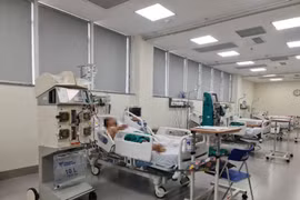 Suy đa tạng vì bị ong vò vẽ đốt 40 vết