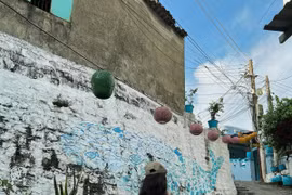 Ghé thăm làng chài được ví "Hometown Cha-cha-cha" phiên bản Việt