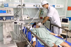 Thiếu nữ 17 tuổi sốc phản vệ nguy kịch sau khi bị ong đất đốt