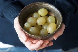 Món ăn truyền thống dịp Tết Dương lịch của các nước trên thế giới