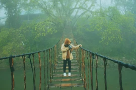 Check-in 4 cây cầu treo siêu đẹp ở Việt Nam chụp hình cực chill