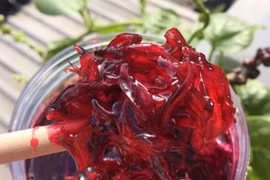 Cách làm "nước cốt dưỡng nhan" từ hoa atiso đỏ