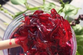 Cách làm "nước cốt dưỡng nhan" từ hoa atiso đỏ