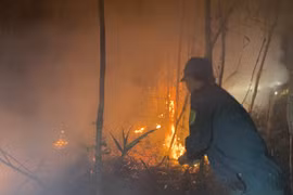 Cháy rừng ở Cà Mau, hơn 600 người căng mình dập lửa