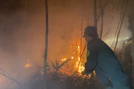 Cháy rừng ở Cà Mau, hơn 600 người căng mình dập lửa