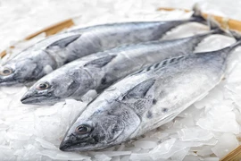 Loại cá cực giàu DHA tốt cho tim mạch, kích thích phát triển não bộ