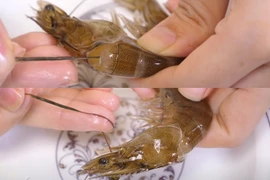 Có nên ăn đường chỉ đen trên lưng tôm?