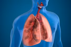 7 thói quen có thể gây tổn thương phổi nên bỏ ngay lập tức