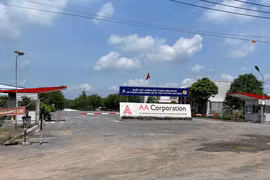 Công ty Cổ phần Xây dựng Kiến trúc AA Tây Ninh bị phạt 310 triệu đồng