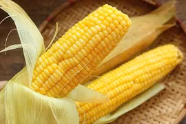 Người bệnh tiểu đường có nên ăn ngô?