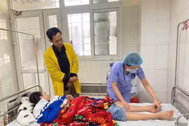 Sưng phù, rối loạn đông máu do tự đắp lá trị rắn cắn