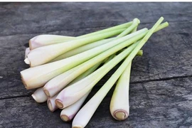 Loại cây gia vị thơm lừng ẩn chứa vô vàn lợi ích sức khỏe