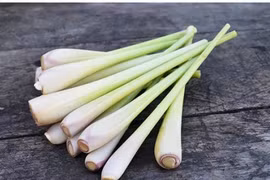 Loại cây gia vị thơm lừng ẩn chứa vô vàn lợi ích sức khỏe