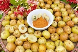 Loại quả "khổ trước sướng sau" mọc hoang ở rừng cực giàu vitamin C