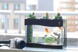 6 thứ không nên đặt trong phòng ngủ