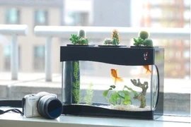 6 thứ không nên đặt trong phòng ngủ