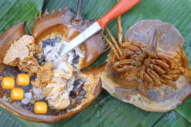 Cảnh báo nguy cơ ngộ độc khi ăn các món chế biến từ con so biển